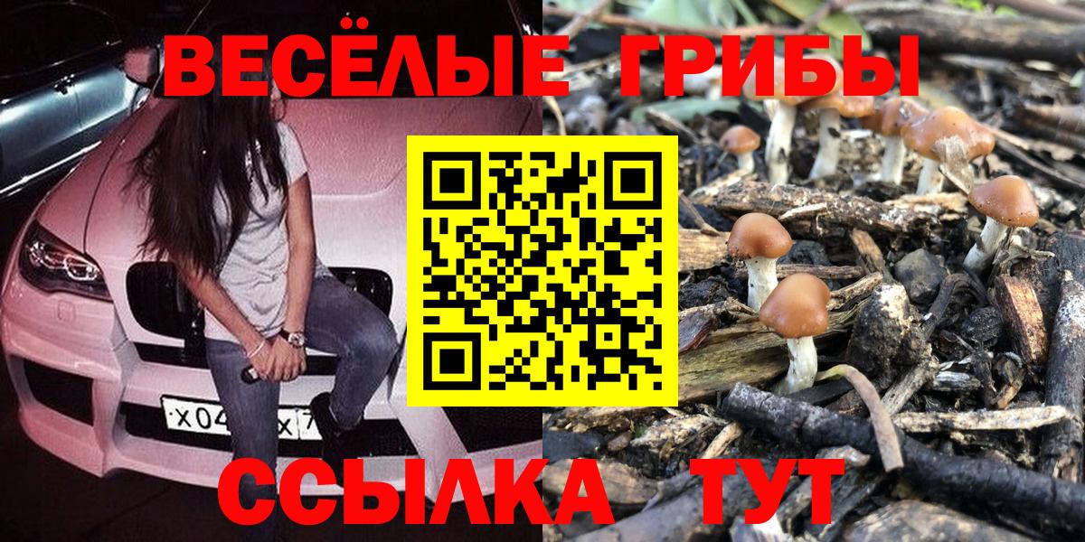 Псилоцибиновые грибы мухоморы  Псилоцибиновые грибы Psilocybe  Вход с VPN  Тольятти 