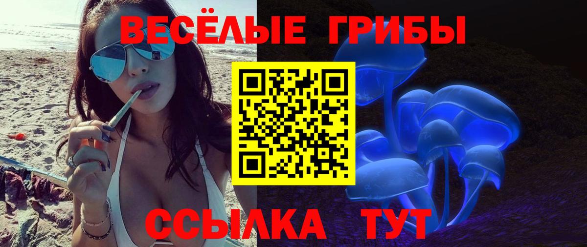 Галлюциногенные грибы Magic Shrooms Тольятти